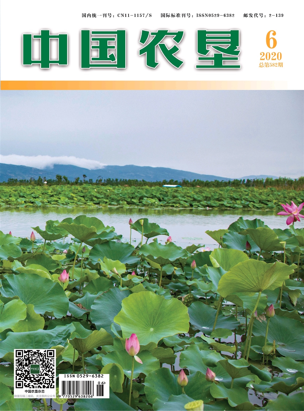 中國農墾