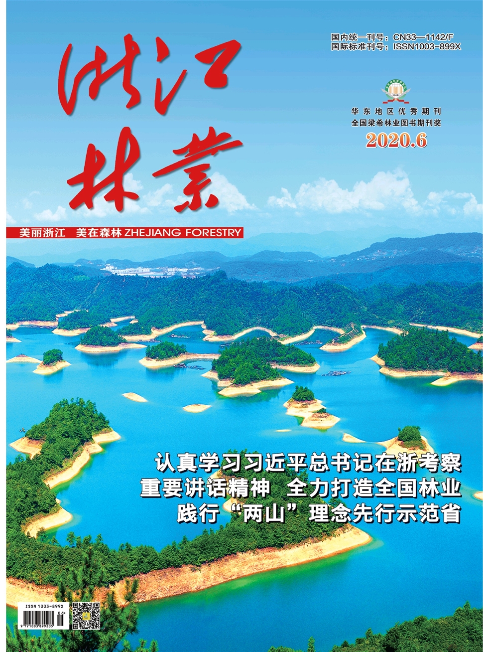 浙江林業