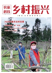 農家科技：鄉村振興